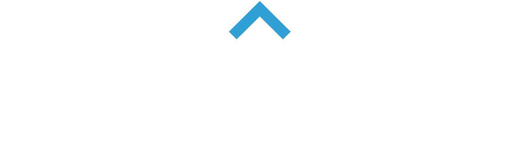 stride logo white