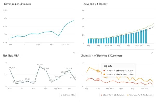 ceo revenue slides